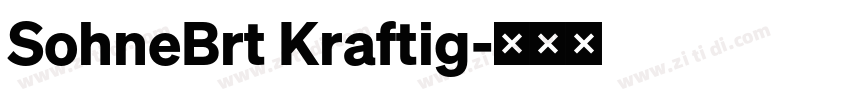 SohneBrt Kraftig字体转换